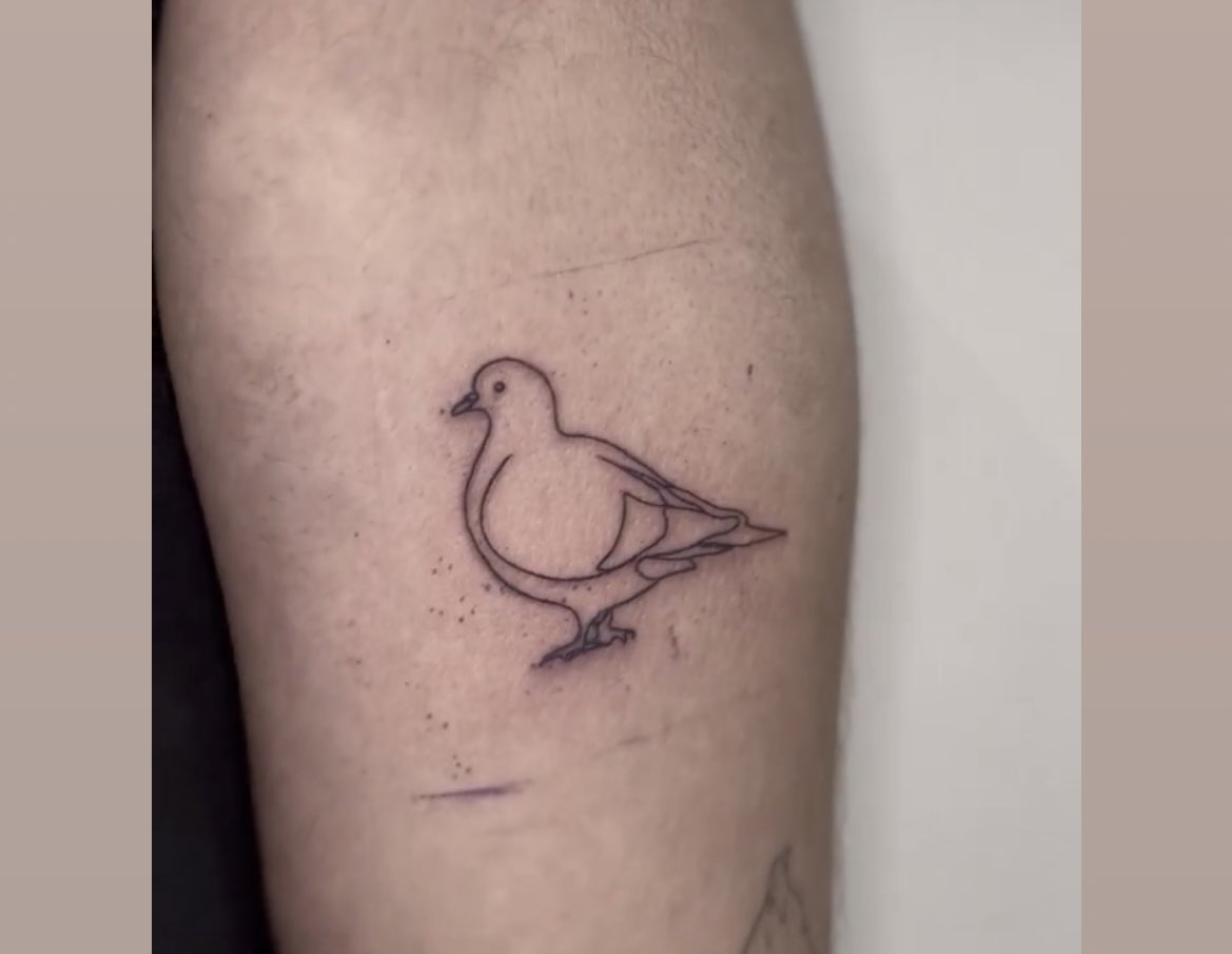 A pigeon for Emily. | Instagram