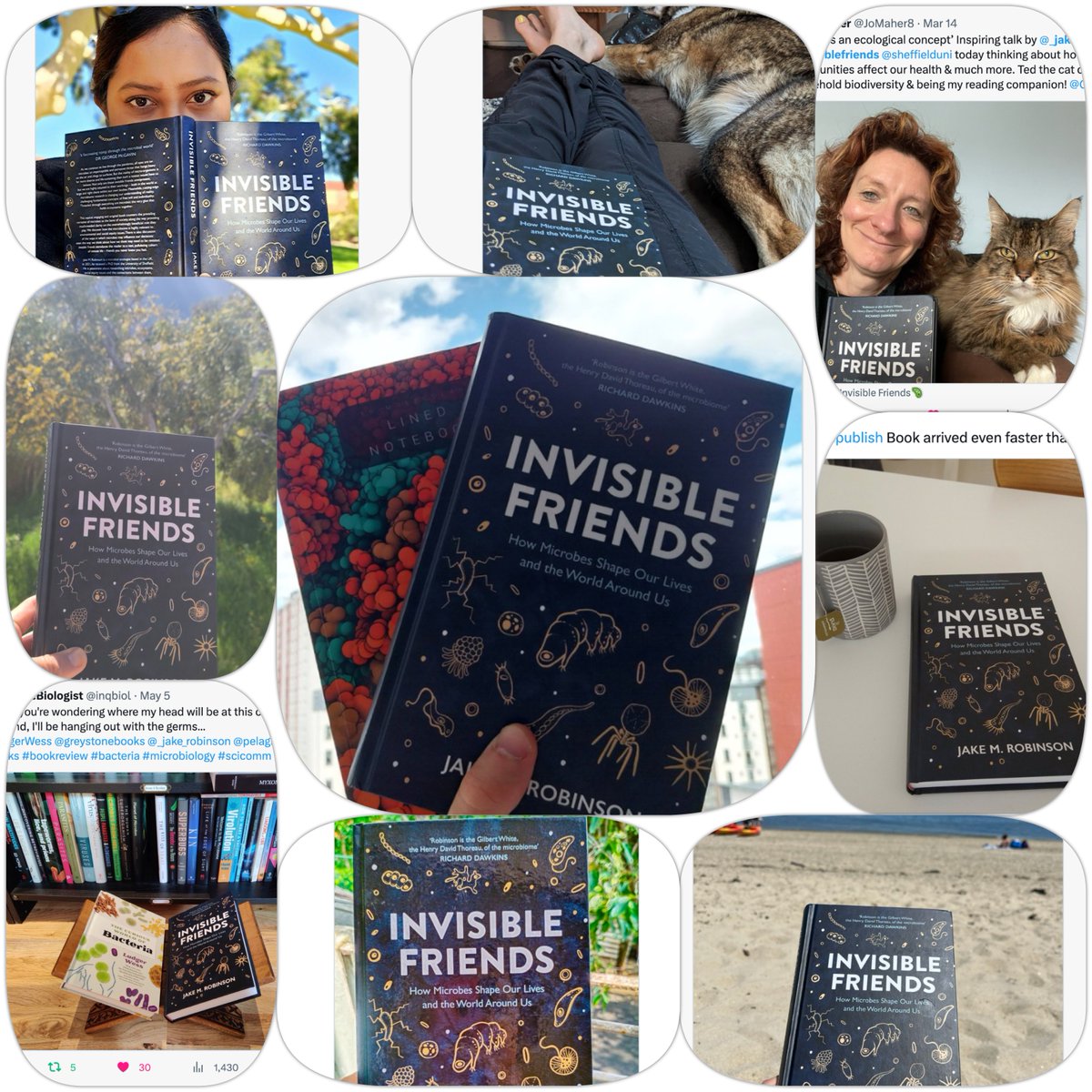 Incredibly grateful to know that folks from every corner of the globe are journeying through the pages of #InvisibleFriends!

Great to share stories and ideas across borders, connecting through a mutual appreciation of #microbes, symbioses and words! 🌍📚🦠