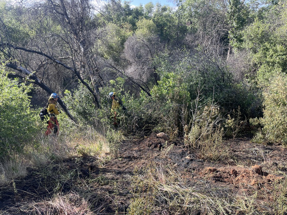 CALFIRE_ButteCo's tweet image. While firefighters were fighting the #BellFire, a separate fire was reported just down the street on Bell Ranch Rd. Firefighters were able to contain the second vegetation fire to 1/2 an acre. The cause is under investigation. #RanchFire