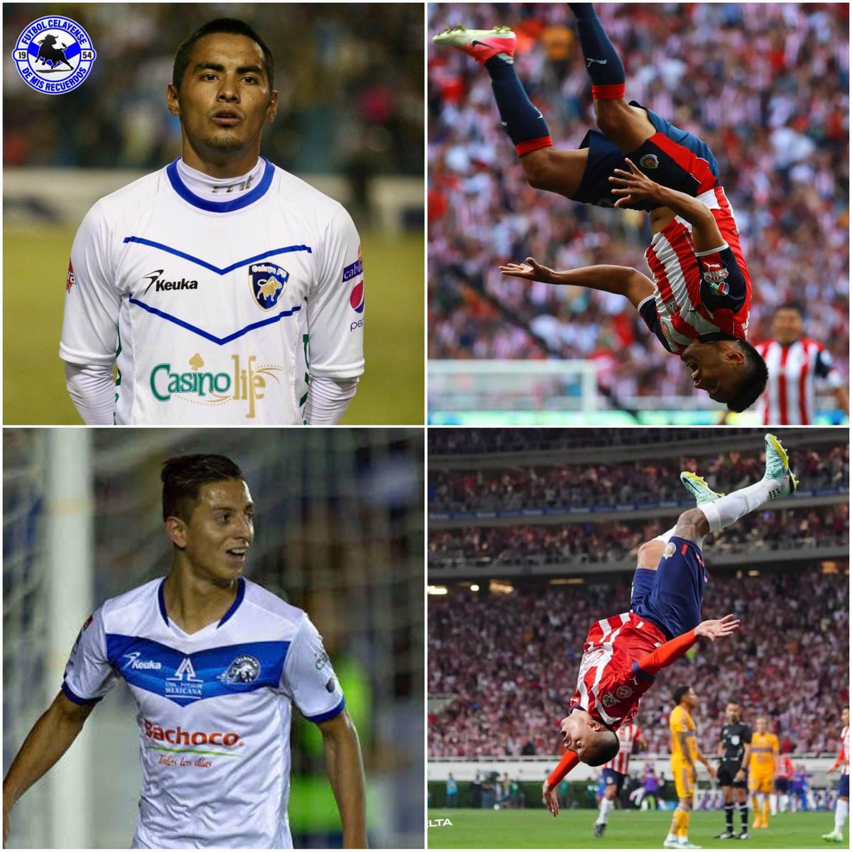 ¡CÓMO EN 2017! 😱💙🐃 

Dos jugadores surgidos de <a href="/TorosCelayaCD/">Club Celaya</a> anotandole a <a href="/TigresOficial/">Club Tigres 🐯</a> en la final de la Liga MX ⚽.

#GallitoVazquez 🤝🏻 #PiojoAlvarado 

#Final #Chivas #Tigres