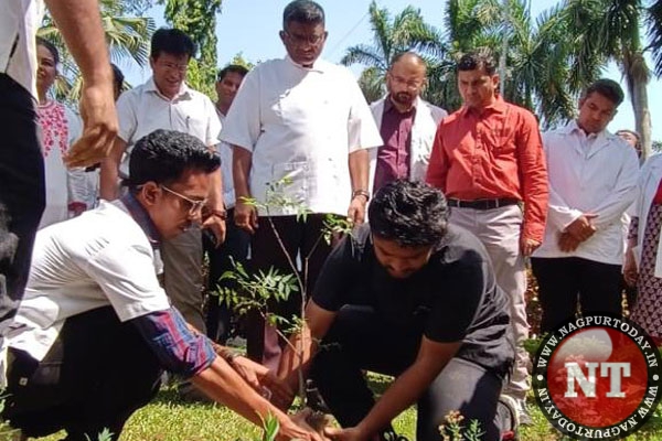 nagpurtoday.in/need-of-trees-… - “Need of trees plantation movement,” says Dr Datarkar at GMCH - #BiodiversityProtection #EnvironmentalPreservation #TreePlantationMovement #WaterConservation