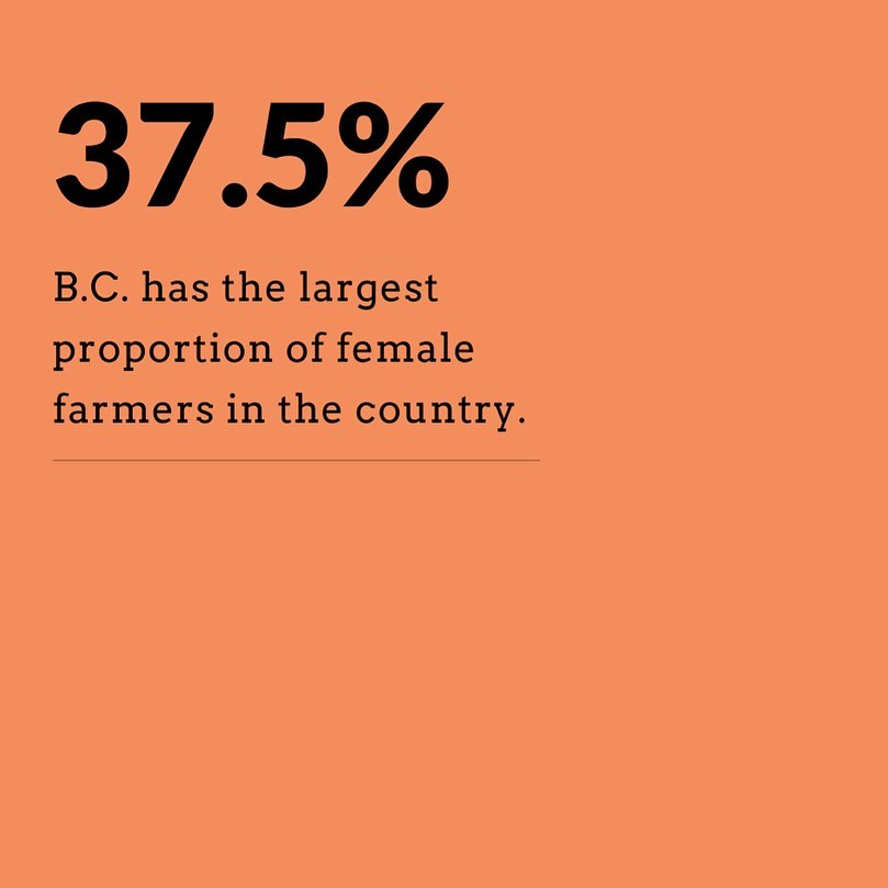 🌻 Did you know? BC (British Columbia) boasts the largest proportion of female farmers in the country, with an impressive 37.5%!

#BCFarmers #FemaleFarmers #WomenInAgriculture #ProudlyFemaleFarmer #FarmLife #SupportLocalFarmers #InspiringWomen #FarmLifeBestLife