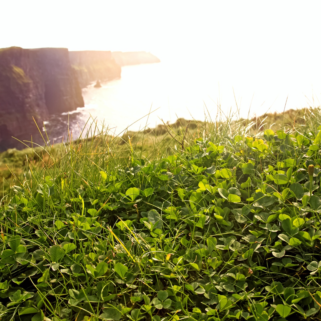 Bright mornings at the cliffs 

📍The Cliffs of Moher

Courtesy of Chiociolla

#wildatlanticway #ireland #wildrovertours #ttot #rtw #travel #TravelMassive #TBEX #traveling #traveltuesday #adventure #cliffsofmoher #photooftheday #wildroverdaytours