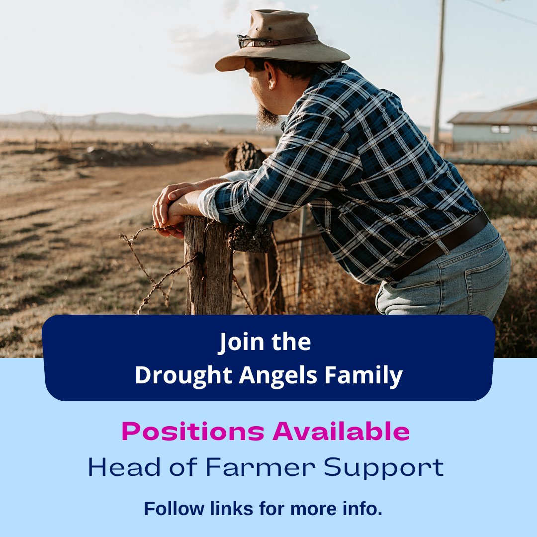 Drought Angels tweet media