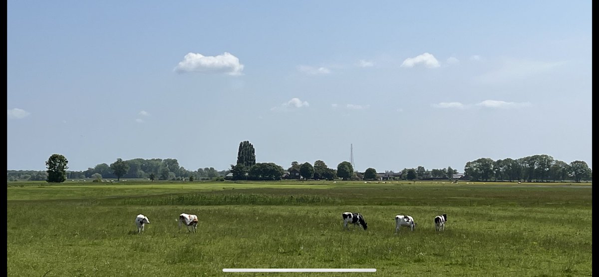 elviraSalet's tweet photo. #Voerman #Hattem #tijdloos https://t.co/rKRveWJr9v