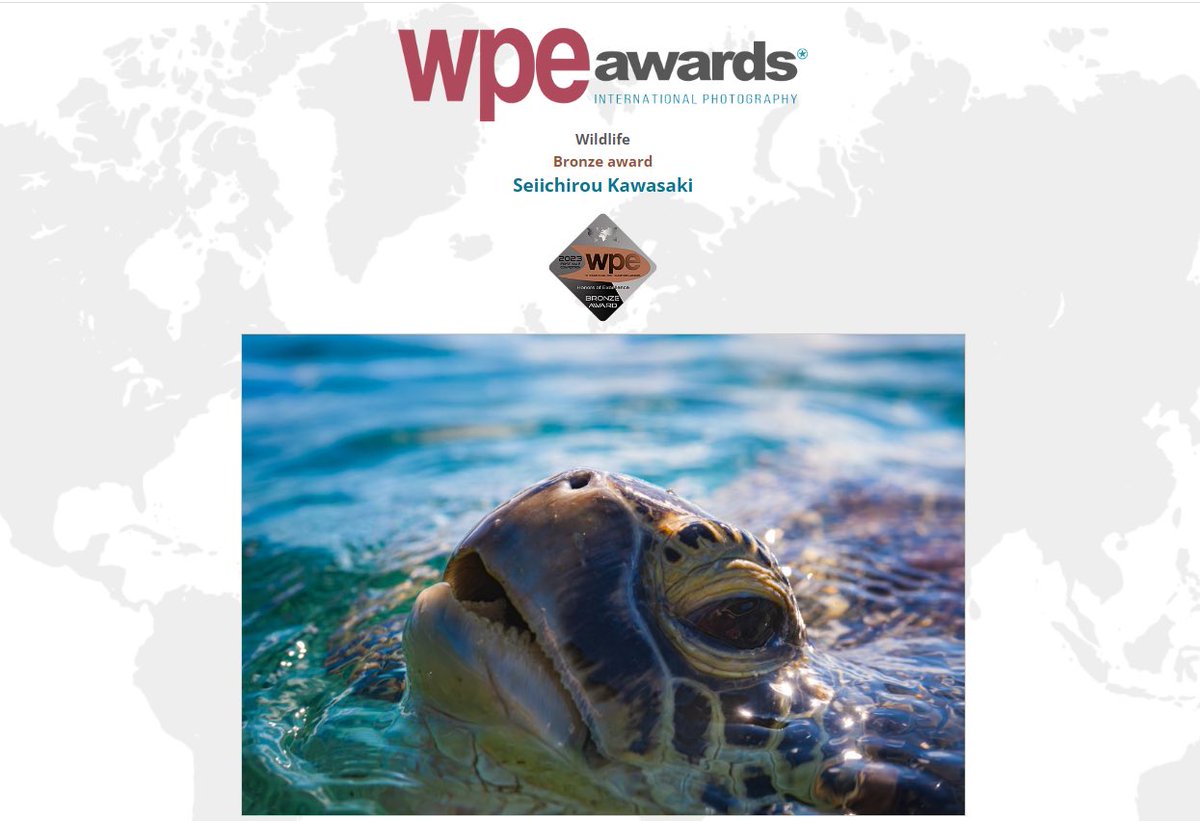 欧州の国際的なフォトコンぺWPE awardsの結果が発表されましてsilveraward1点bronze award1点の2作品入賞することができました！
全て地元の奄美大島・瀬戸内町で撮影した作品です。
#瀬戸内町
#奄美大島
#wpeawards