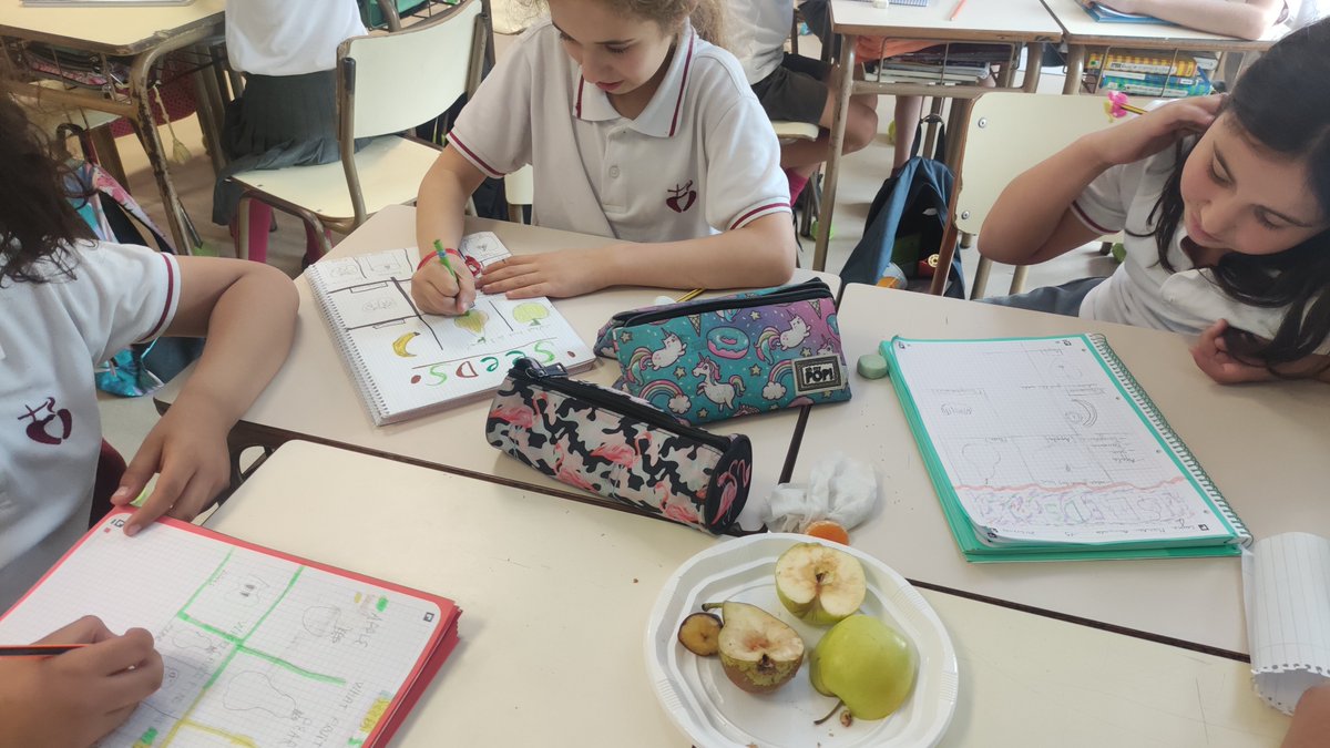 PadreDamianSSCC's tweet photo. 🍎Fruits and seeds in 4t #PrimariaPadreDamianSSCC!
🍐We discover and we knead seeds
🍊We also register where we find seeds and which fruits have one or more
#ProjectPractice #ProjecteVeusPadreDamianSSCC #EscolaConcertadaSarrià #ColegioConcertadoSarrià #MultilingualSchool https://t.co/bgQbUUCi0k