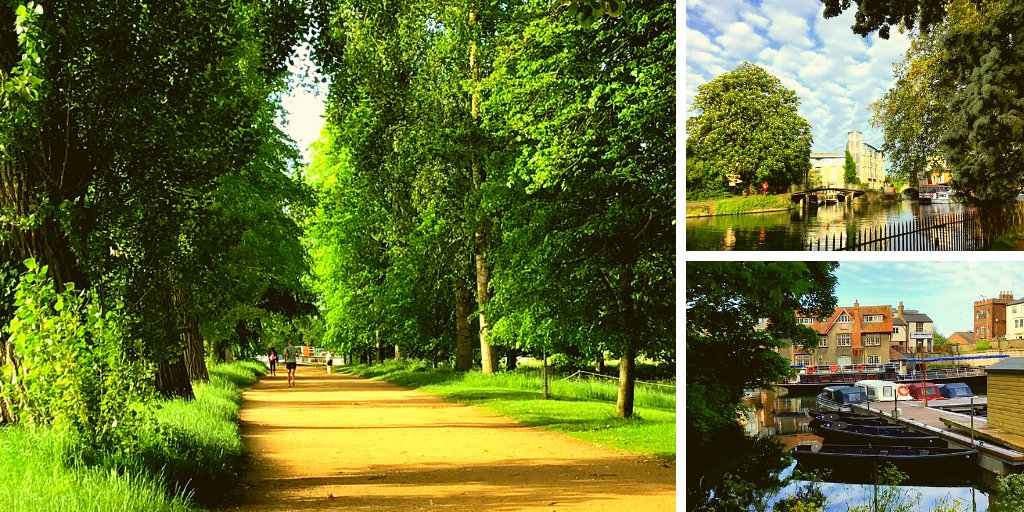 An early morning stroll along New Walk to the Thames. 🚣

How well do you know Christ Church Meadow? Could you locate The Dean’s Ham, Jubilee Bridge and Broad Walk?

See the complete guide to Christ Church Meadow: ➡️ bit.ly/ChristChurchMe…

📷 Alumni Office / ZB
