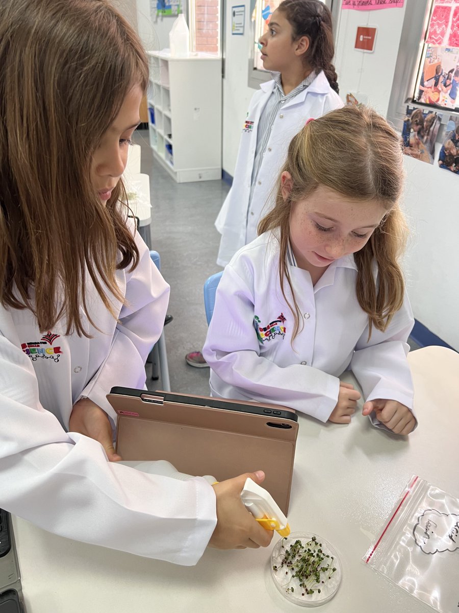 Year 3 | Dubai British School (@dbs_year3) on Twitter photo We are now exploring the impact of acid rain vs normal rain on the growth of plants. We are skilled scientists - asking questions, setting up experiments, predicting and using complex scientific language. <a href="/DubaiBritishEH/">Dubai British School</a> <a href="/DBS_PriScience/">Primary Science | Dubai British School</a> #BeginsatDBSEH #ProudlyTaaleem We are now exploring the impact of acid rain vs normal rain on the growth of plants. We are skilled scientists - asking questions, setting up experiments, predicting and using complex scientific language. <a href="/DubaiBritishEH/">Dubai British School</a> <a href="/DBS_PriScience/">Primary Science | Dubai British School</a> #BeginsatDBSEH #ProudlyTaaleem