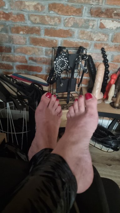 You're my next human sex toy... With you I want to fulfill all my perverse and sadistic fantasies https://t<a href="/tag/stockings"class="tags"><span>#stockings</span></a><a href="/tag/highheels"class="tags"><span>#highheels</span></a><a href="/tag/milf"class="tags"><span>#milf</span></a><a href="/tag/bigtits"class="tags"><span>#bigtits</span></a><a href="/tag/mature%20"class="tags"><span>#mature </span></a>