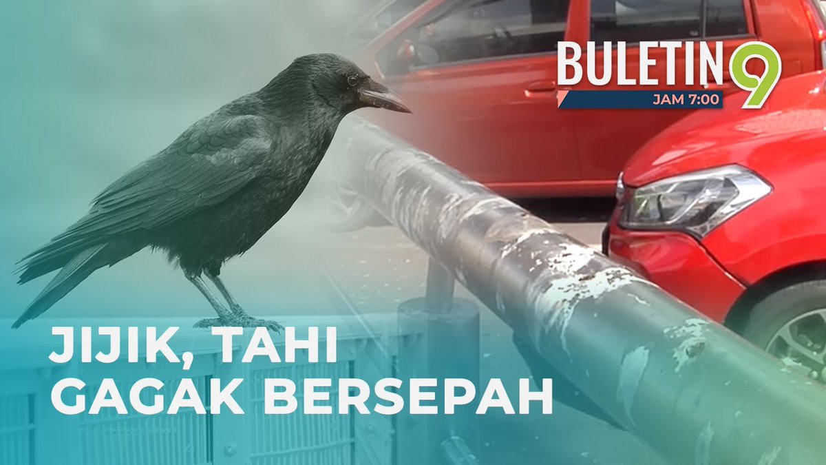 Meckdaa1997's tweet photo. @AnwarHassan89 @denielnm @vocketfc @HRHJohorII Kesian penyokong Selangor mengharapkan sinar untuk pasukan mereka setiap musim. Tapi yang dapat tahi gagak + sampah. https://t.co/r4TAdOcxgK