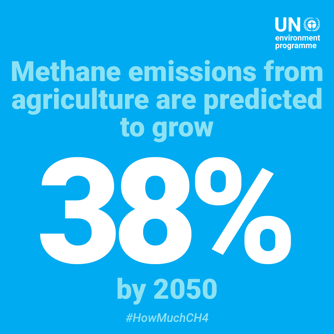 MethaneData's tweet photo. In the absence of measures taken to revise existing food production and consumption practices and to #CutMethane, methane emissions from agriculture are likely to almost quadruple based on levels registered in 2010. #HowMuchCH4

More on methane emissions: https://t.co/sFXT8V5Ut3 https://t.co/aIn8clxsY7
