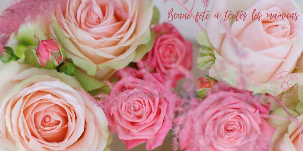 Hortisud's tweet photo. Bonne fête à toutes les mamans ! https://t.co/iuIL5MbOkE