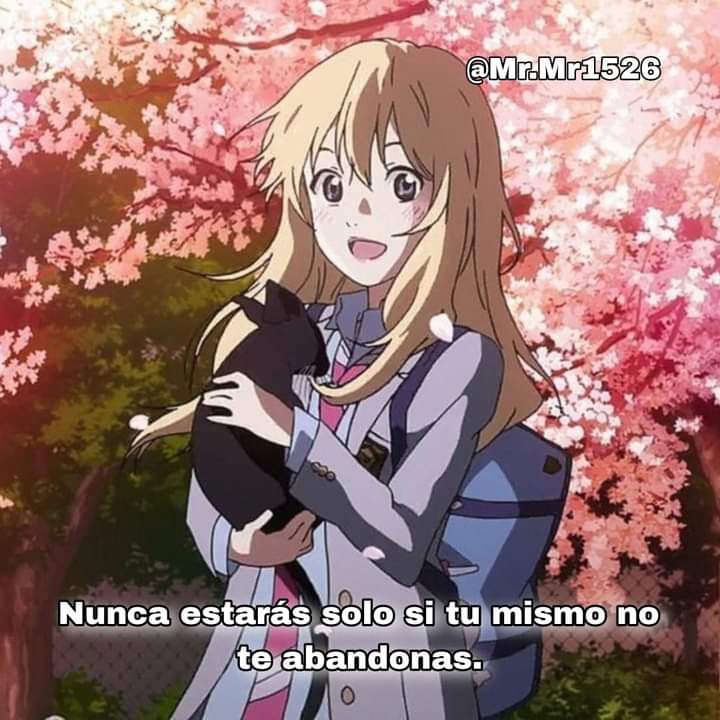 Flor Vel tweet media