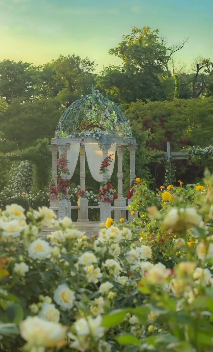 小园香径独徘徊

Wandering in the fragrant garden of early summer