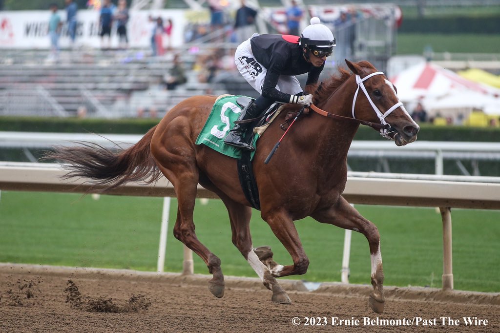 RT @ErnieBPhoto93: The Chosen Vron takes the Thor’s Echo under @HIBerrios for trainer J. Eric Kruljac. https://t.co/v841YigW6t