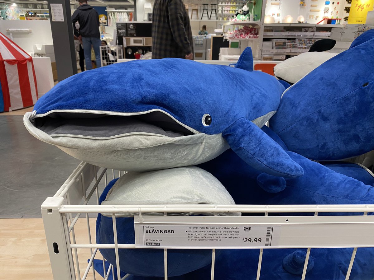 AdsPrincess08's tweet photo. At IKEA… a giant blue whale and orca. Thought of @TheGoldenRatio4 https://t.co/HUcbxLaedY