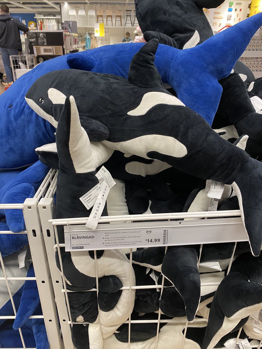 AdsPrincess08's tweet photo. At IKEA… a giant blue whale and orca. Thought of @TheGoldenRatio4 https://t.co/HUcbxLaedY