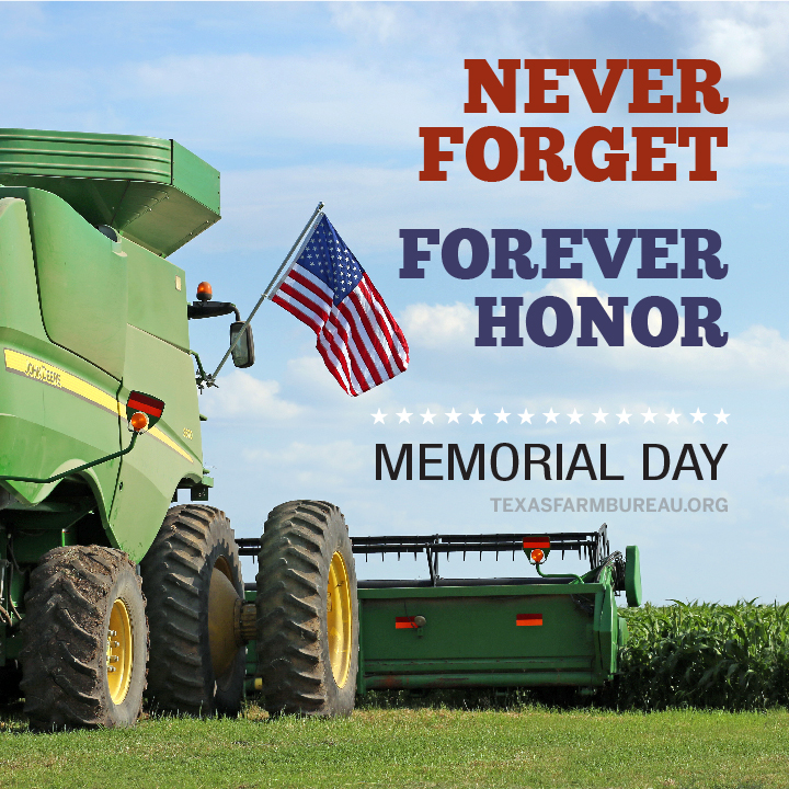They served with pride for our freedom. Remembering and honoring all those who sacrificed for us on this #MemorialDay.