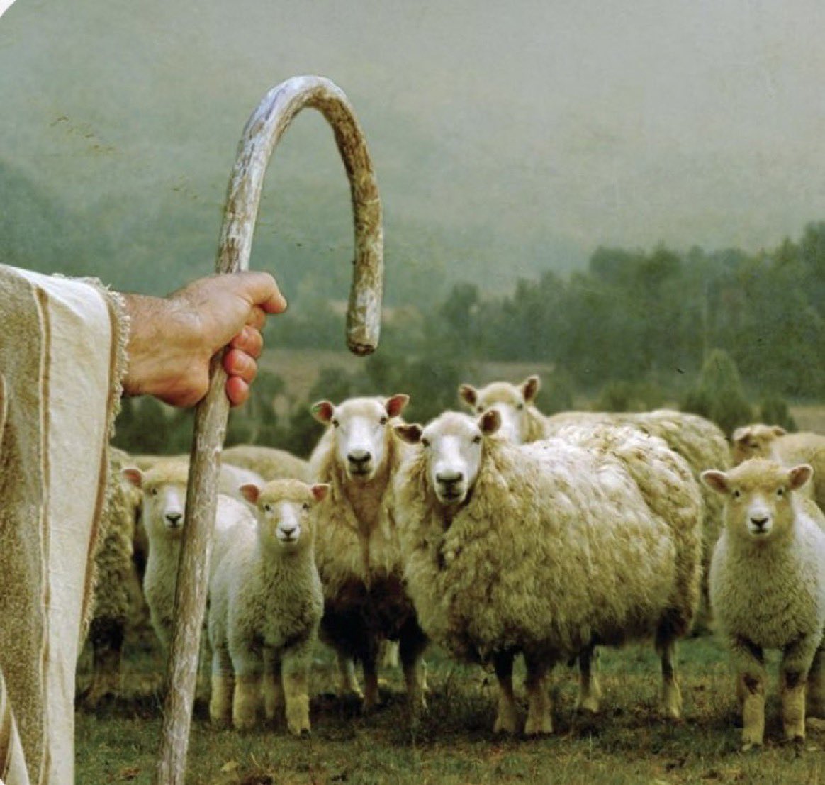 "Koyunlar ömrünü kurttan korkarak geçirir.
Halbuki sonunda onu yiyen çobandır."

- Thomas Hobbes -