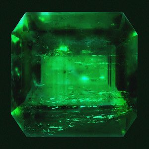 Mani Dots tweet media