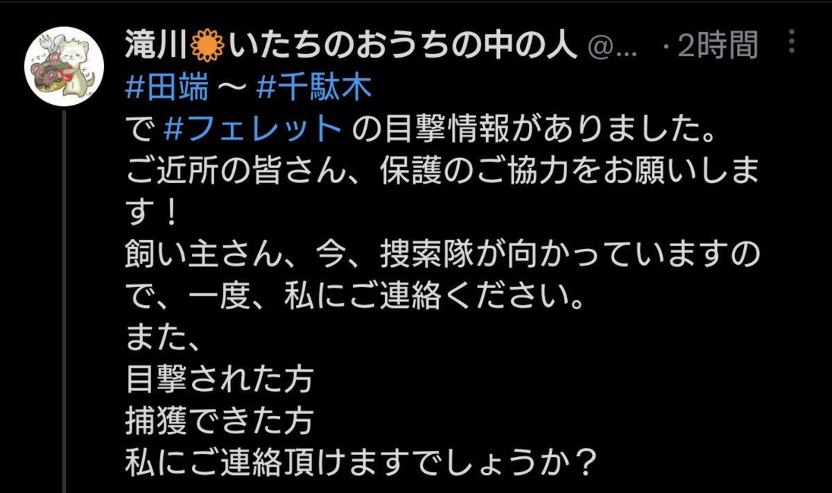 確認用画像 春水さん 髪の様子 | tostaduriaemanuel.cl