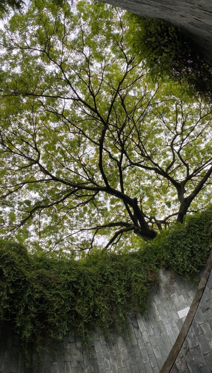 Nature's beauty is always just a window away!! 🌳🌿🍃
.
.
.
.
 #ThroughTheCircle #TreeViews #NatureLover #WindowToTheWorld #NaturePhotography #ScenicViews