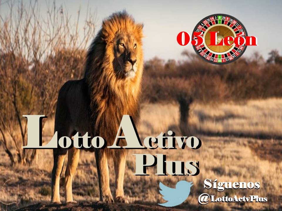 Lotto Activo Plus

<a href="/lottoactivoplus/">Lotto Activo Plus</a>

29-05-2023

9:00 am

Leon 05

#LAP #loteria #LottoActivoPlus