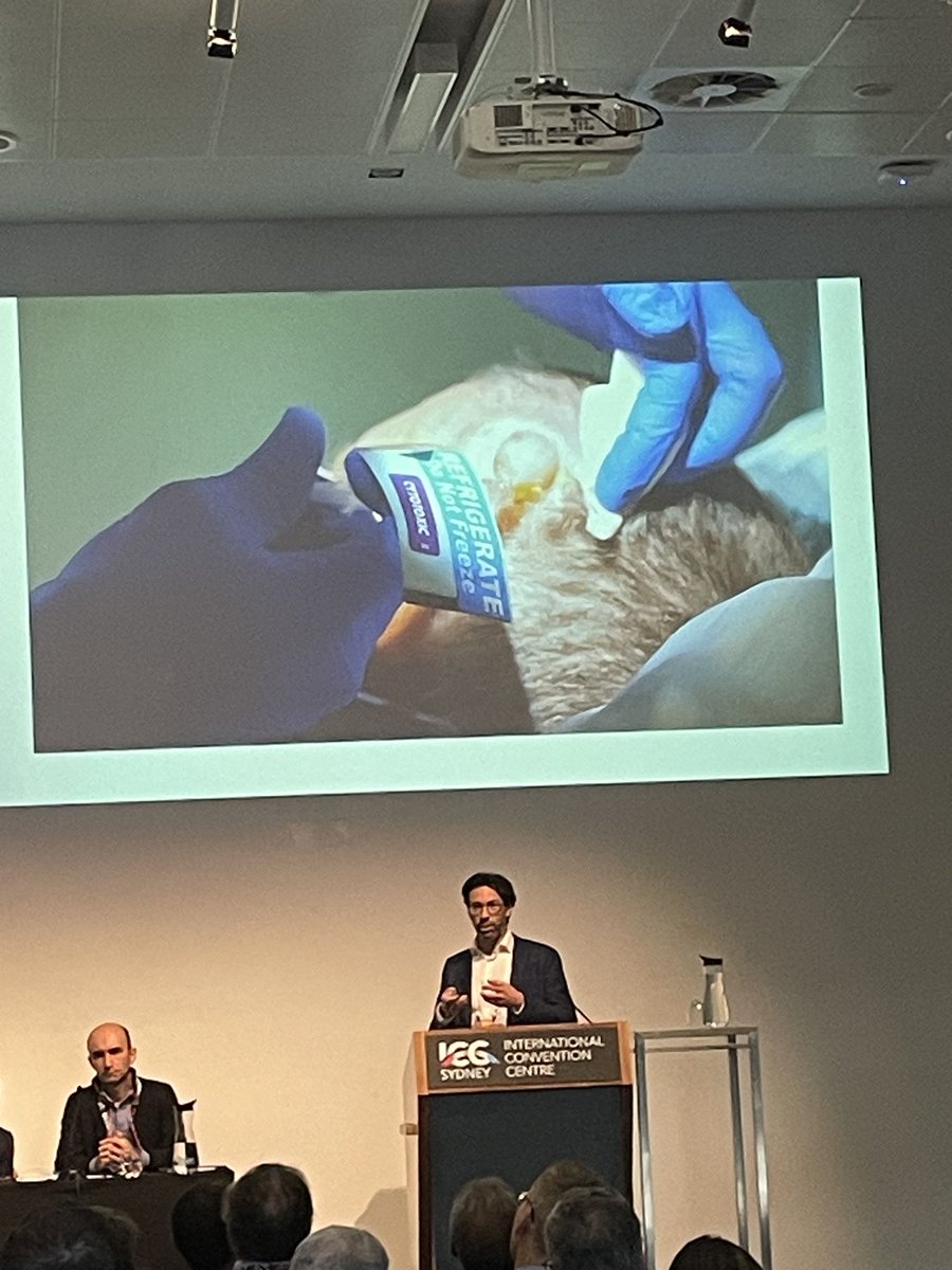 Hayden Snow (@snow_hayden) on Twitter photo Was great to talk at #ACDASM2023 about #electrochemotherapy. Thanks to <a href="/PeterMacCC/">Peter Mac Cancer Centre</a> <a href="/Mirai_Medical/">Mirai Medical</a> & Endotherapeutics we have this tool in our kitbag for difficult cutaneous malignancies. Was great to talk at #ACDASM2023 about #electrochemotherapy. Thanks to <a href="/PeterMacCC/">Peter Mac Cancer Centre</a> <a href="/Mirai_Medical/">Mirai Medical</a> & Endotherapeutics we have this tool in our kitbag for difficult cutaneous malignancies.