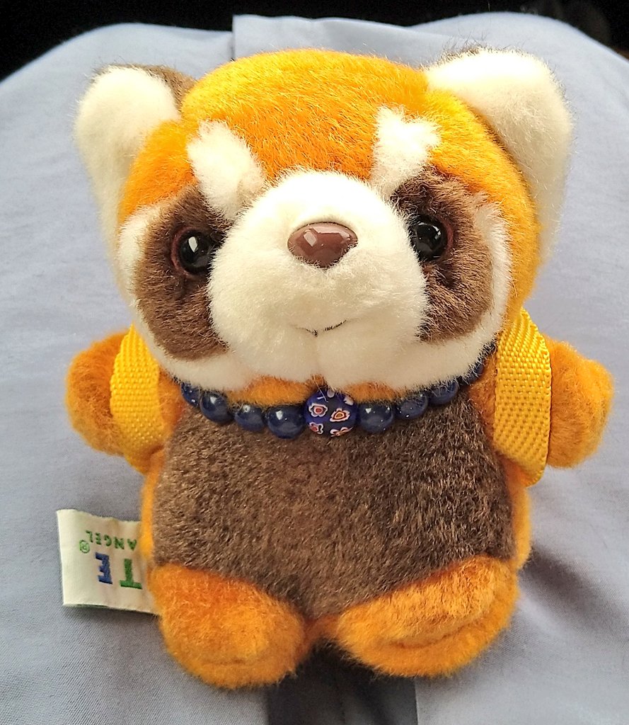 shuwafuwa_p0wa's tweet photo. こんにちは😊
レッサーパンダの富市です！

今日はとある小さな水族館に向かっています🚘💨

リュックにキャンディいっぱい詰めて準備万端だよ～🍬

 #ぬい撮り 
 #レッサーパンダ  #cutecollection https://t.co/JEvmg2flDz