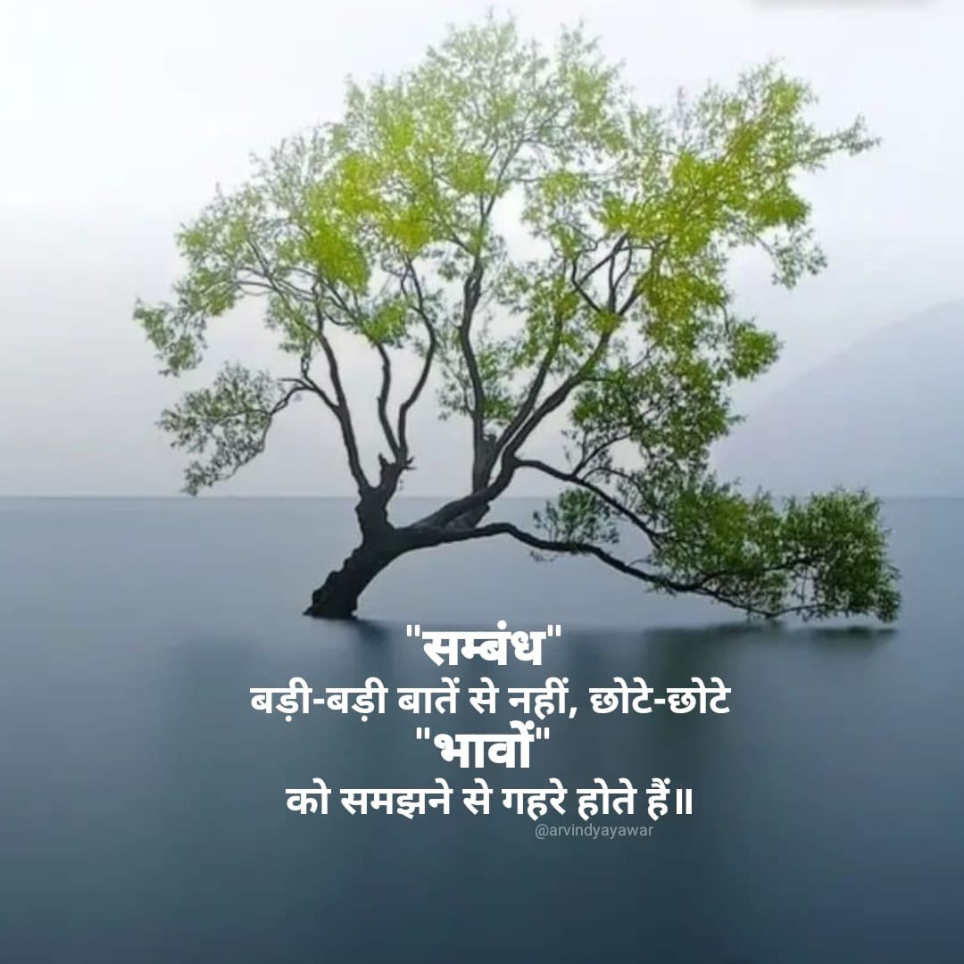 #यायावर #हिंदी_शब्द #बज़्म #alfazmere #अक्षरमाला #सरस  #काव्यांश #HPEDK #काव्योदय