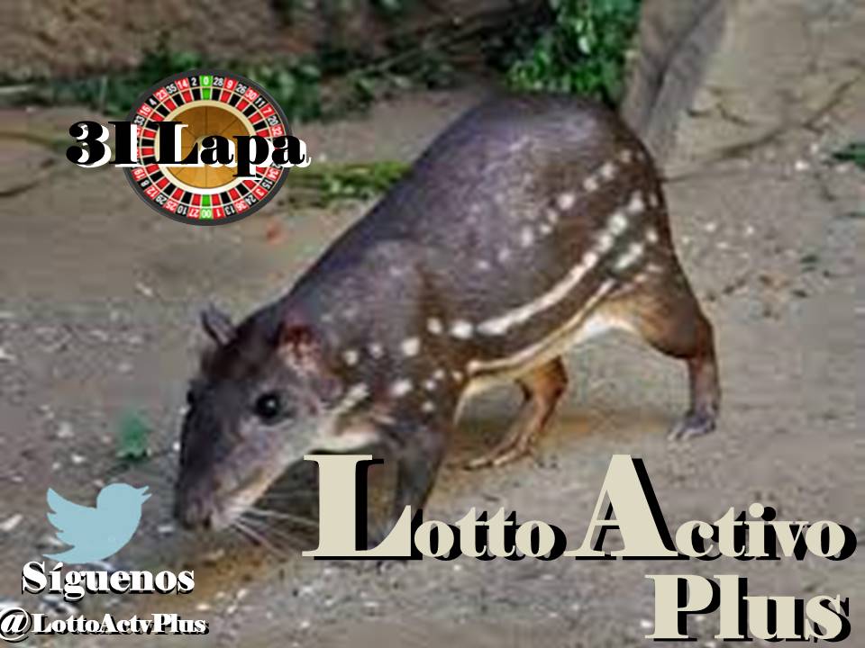 Lotto Activo Plus

<a href="/lottoactivoplus/">Lotto Activo Plus</a>

29-05-2023

1:00 pm

Lapa 31

#LAP #loteria #LottoActivoPlus