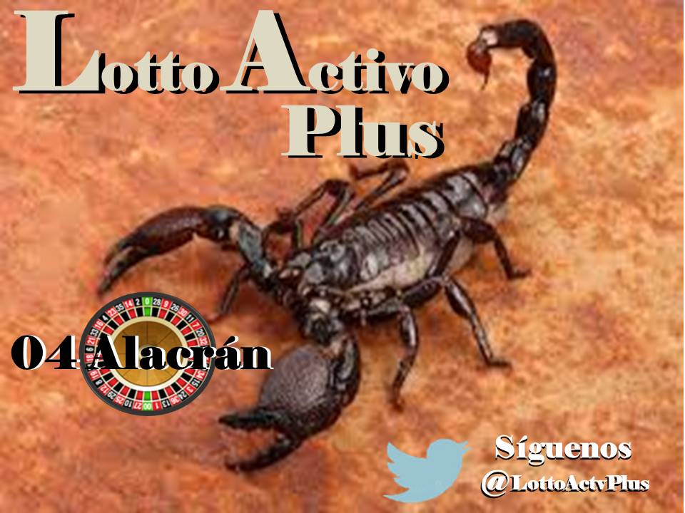 Lotto Activo Plus

<a href="/lottoactivoplus/">Lotto Activo Plus</a>

29-05-2023

2:00 pm

Alacran 04

#LAP #loteria #LottoActivoPlus