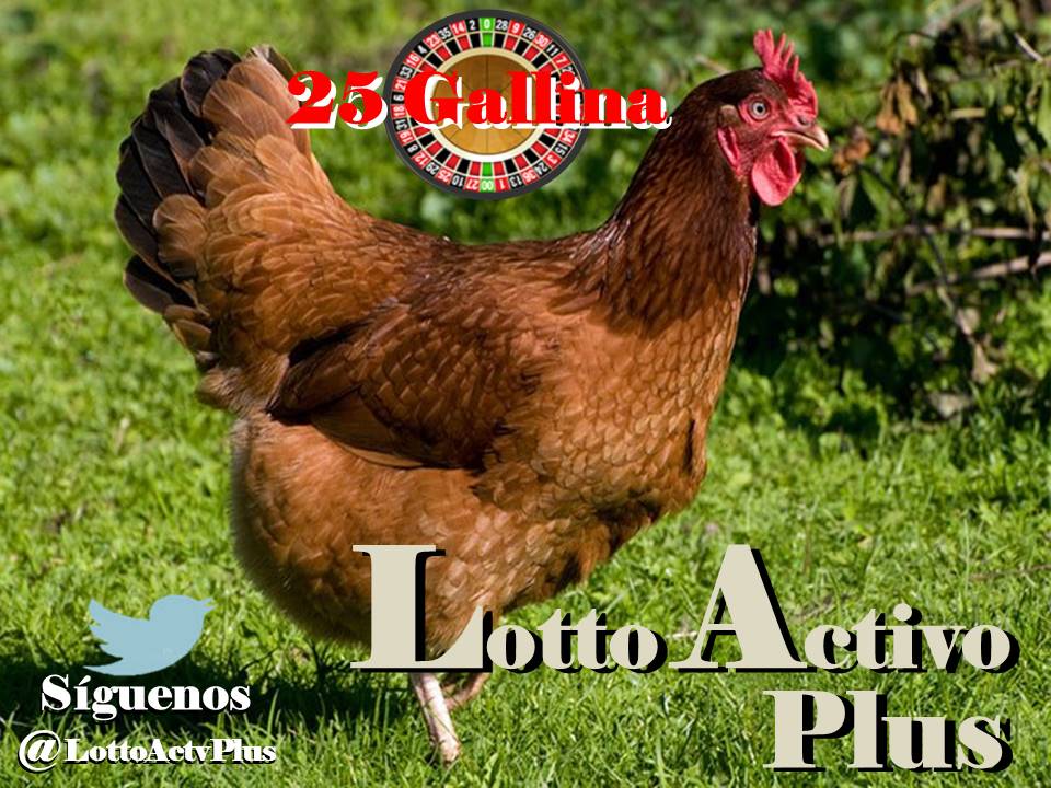 Lotto Activo Plus

<a href="/lottoactivoplus/">Lotto Activo Plus</a>

29-05-2023

3:00 pm

Gallina 25

#LAP #loteria #LottoActivoPlus