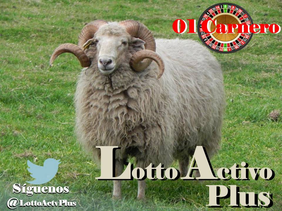 Lotto Activo Plus

<a href="/lottoactivoplus/">Lotto Activo Plus</a>

29-05-2023

9:00 pm

Carnero 01

#LAP #loteria #LottoActivoPlus