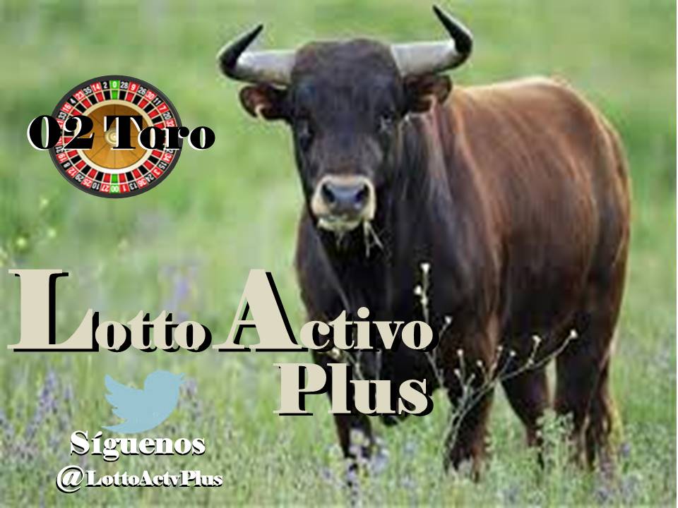 Lotto Activo Plus

<a href="/lottoactivoplus/">Lotto Activo Plus</a>

29-05-2023

4:00 pm

Toro 02

#LAP #loteria #LottoActivoPlus