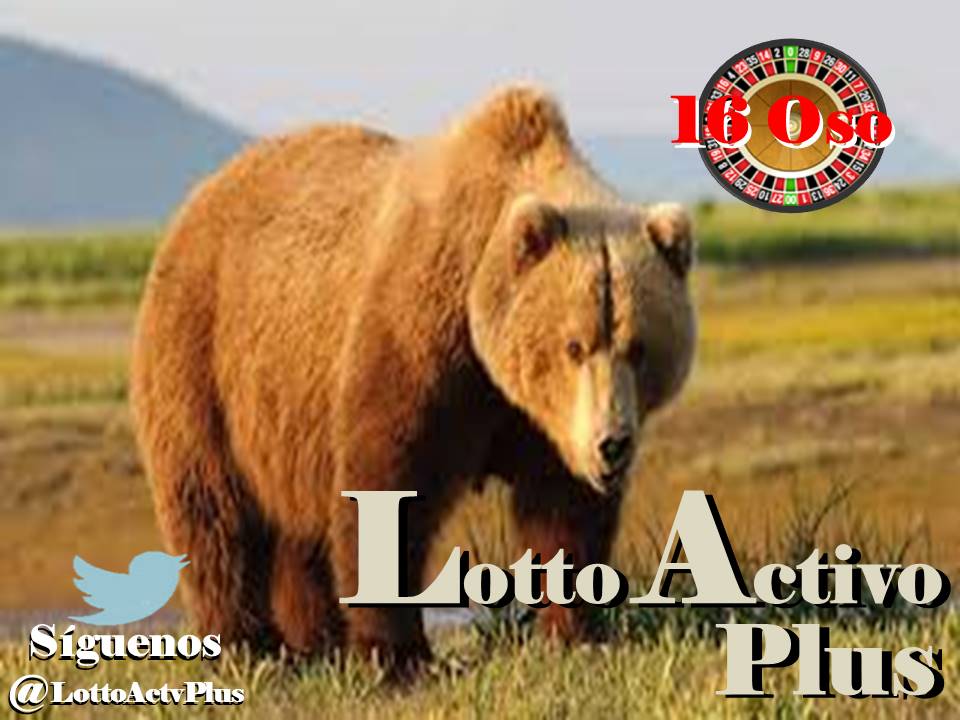 Lotto Activo Plus

<a href="/lottoactivoplus/">Lotto Activo Plus</a>

29-05-2023

8:00 pm

Oso 16

#LAP #loteria #LottoActivoPlus