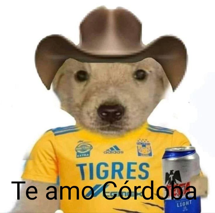 ___rgde's tweet photo. Chivas y tigres https://t.co/YtuGocyblZ