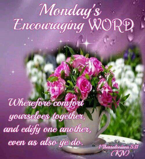 #MondayBlessings #TwitterFriends 💜Have A Lovely Day And Week!