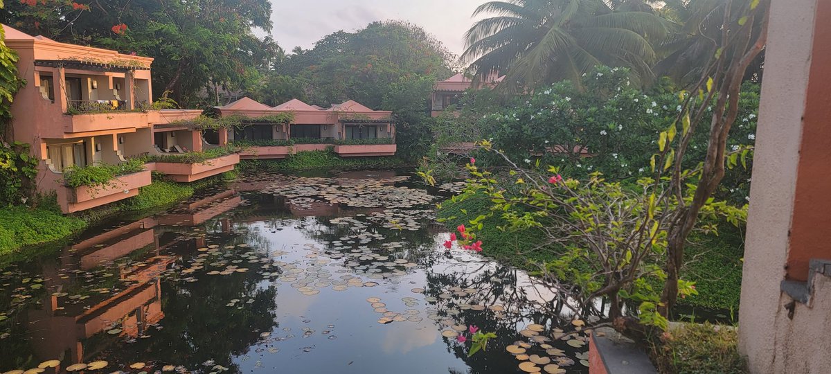 Ramesh Narayan tweet media