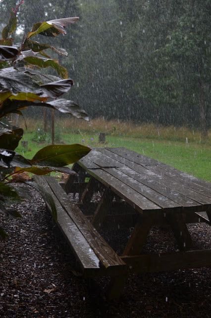 rainy day.