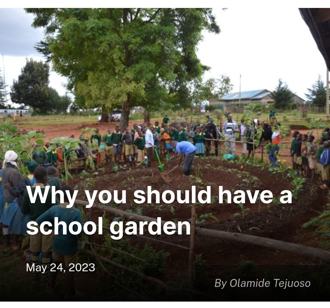 Why you should have a school garden

Read more here 👇🏾 farmingfarmersfarms.com/2023/05/24/why…

#Agriculture #Environment #Entrepreneur #Technology #Farming #Farmers #AgriBusiness #NaijaFarmers #Nigeria #Farms #News #Newspaper #Online #Schools #Planting #FoodSecurity #Gardening #Flowers #Monday