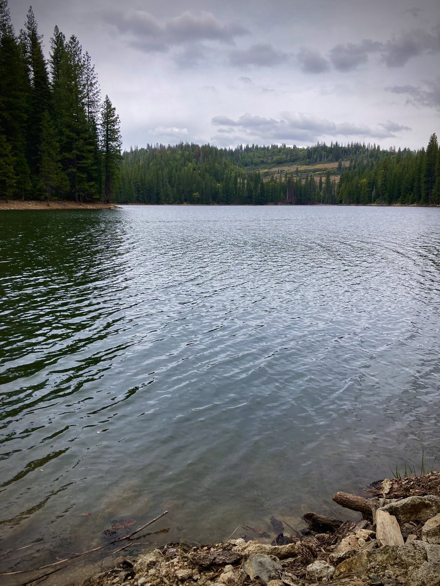 rose_diamond10's tweet photo. Day 28
Lake Day
No Mewtwo
Not AR May
Community is where you find it π
#PokemonGoWalks #May2023Photos #Photography #APhotoInMay #Moments #Photos #PhotoChallenge #HearUsNiantic @Sn3ak3r_Fr3ak3r @NC42885118 @sevensevenok https://t.co/LJrFrkNJ34