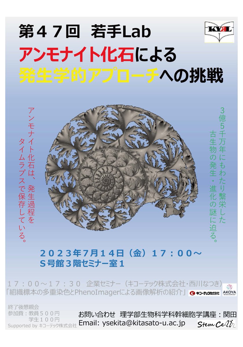 wakatelab's tweet photo. 7月の若手Labは、理学部幹細胞学講座新任助教の井上新哉先生による「アンモナイト化石による発生学的アプローチへの挑戦」です。古代のロマンを感じるとてもユニークなタイトルです。奮ってご参加ください。セミナー後は懇親会も予定しています。(1/2) https://t.co/fAGy2QPT9k