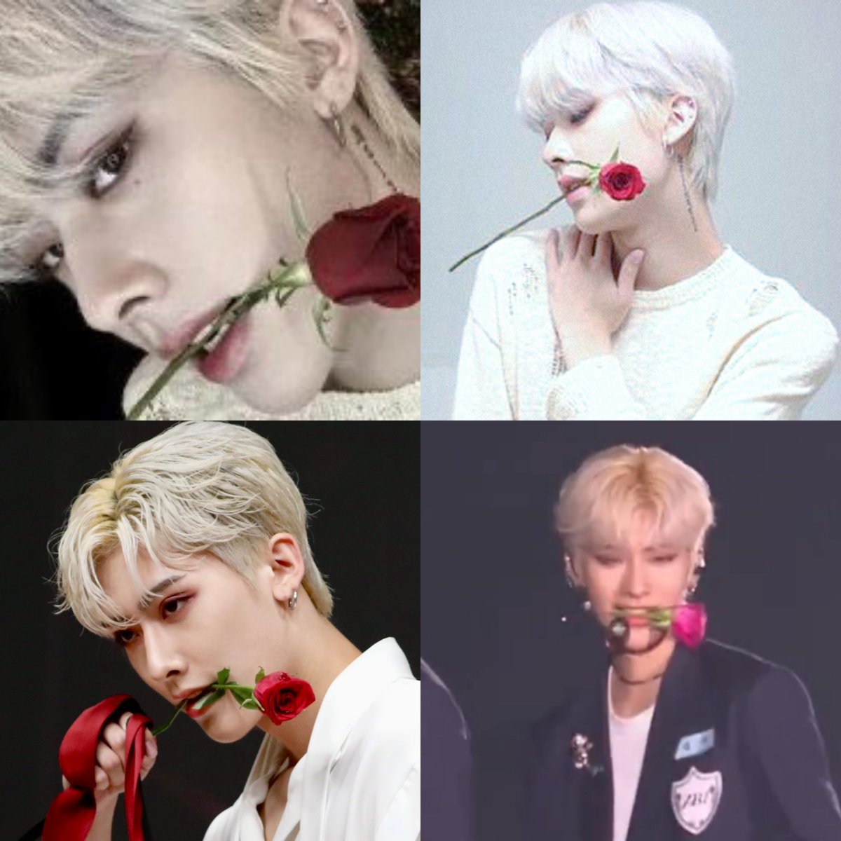 so he likes biting roses