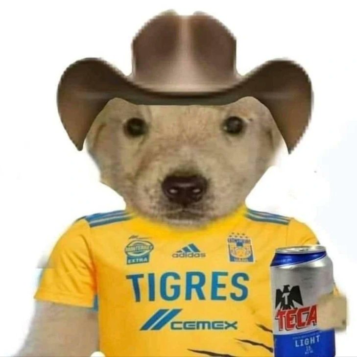 Kstroboy's tweet image. Gracias Tigres por hacerme Feliz...