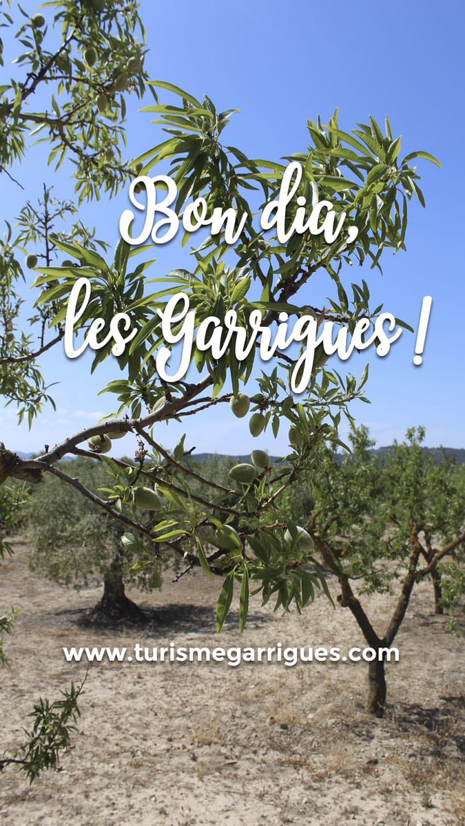 Bon dia, #lesGarrigues !