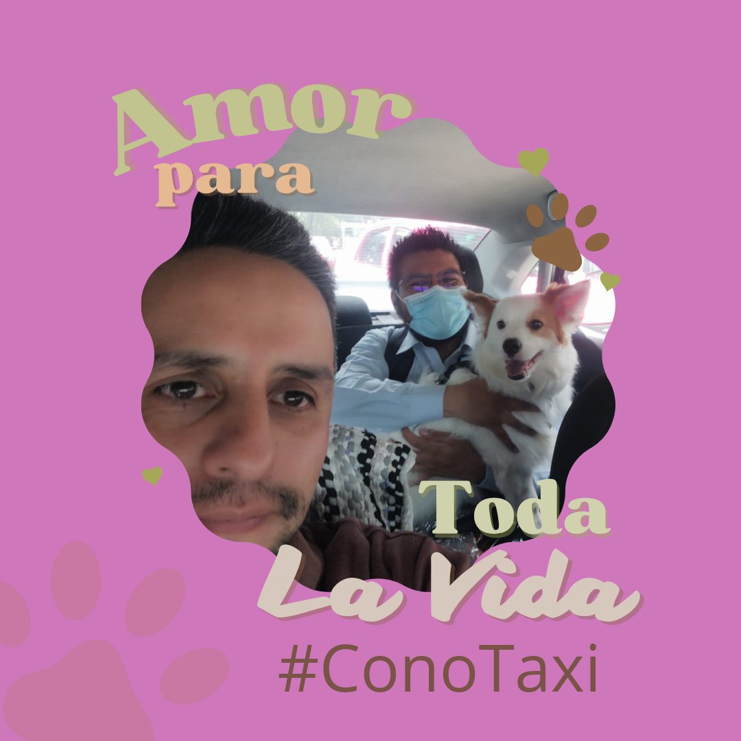 ConsejoTx's tweet photo. #ConoTaxi132 Arturo Hernández  de #ConoTaxi Traslada a sus
 usuarios
y sus mascotas de 
manera segura en la Ciudad de México.

#ConoTaxiSeguroTeLleva 
#conotaxitrasladaatumascota
#ConoTaxiTeLlevaSeguro 
#tuPeludoViajaSeguro

Llámanos al 56-2067-0467 o mándanos Whatsapp https://t.co/qamf9cMeDd