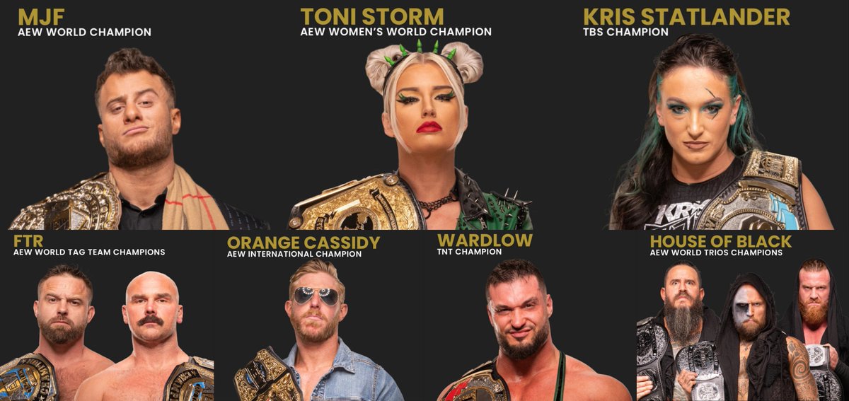 The updated AEW Champions set.