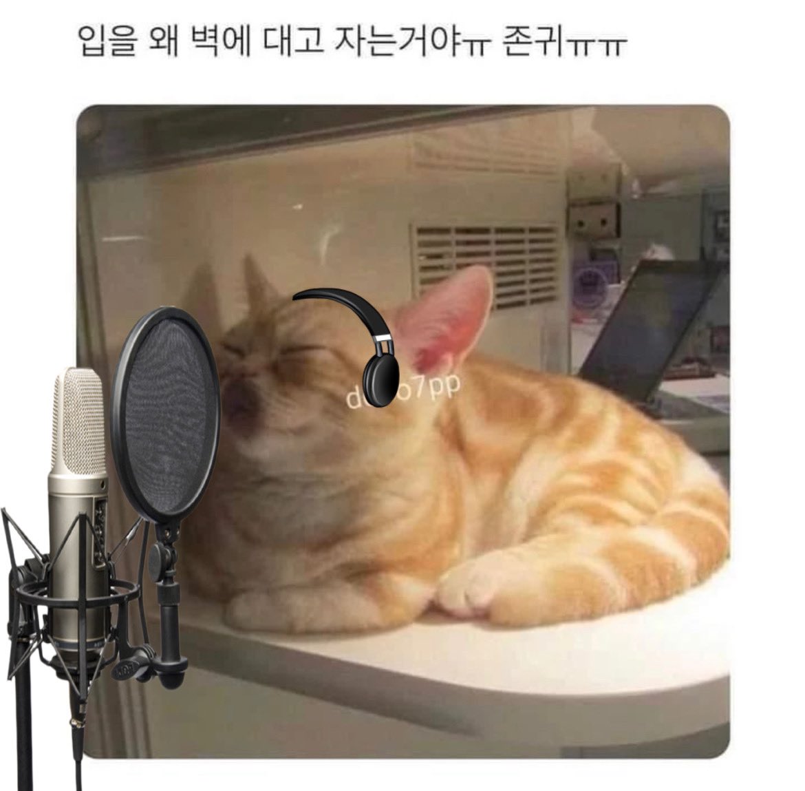 쟤연 tweet media